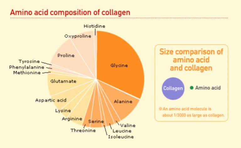 collagen vs gelatin